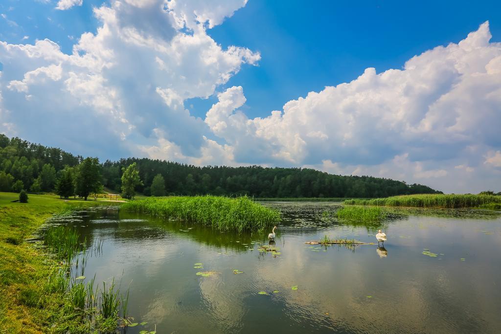 Warminska Winnica Барчево Экстерьер фото